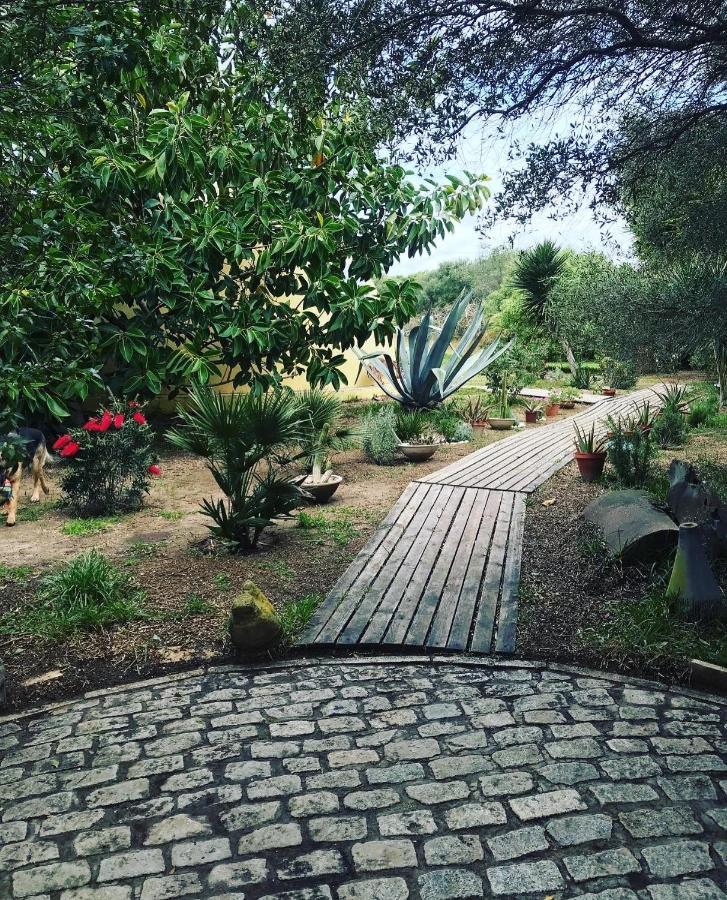 La Perla 8 Pension Zahora Buitenkant foto